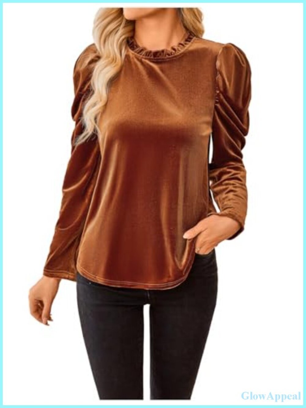 Velvet Blouse with Puff Long Sleeve and Mock Neck